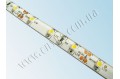 LED лента 3528/60 герметичная (IP65) standart